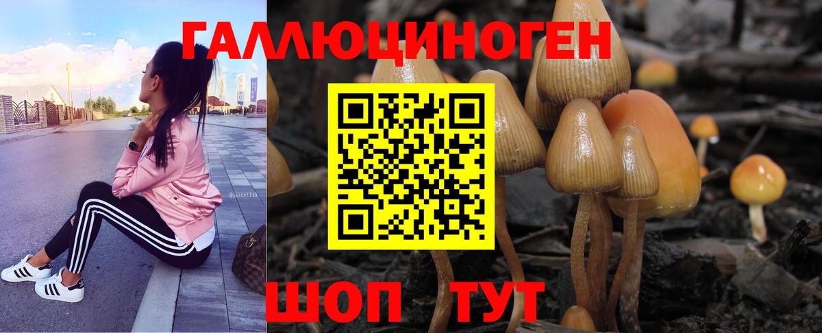 Галлюциногенные грибы мухоморы Туапсе