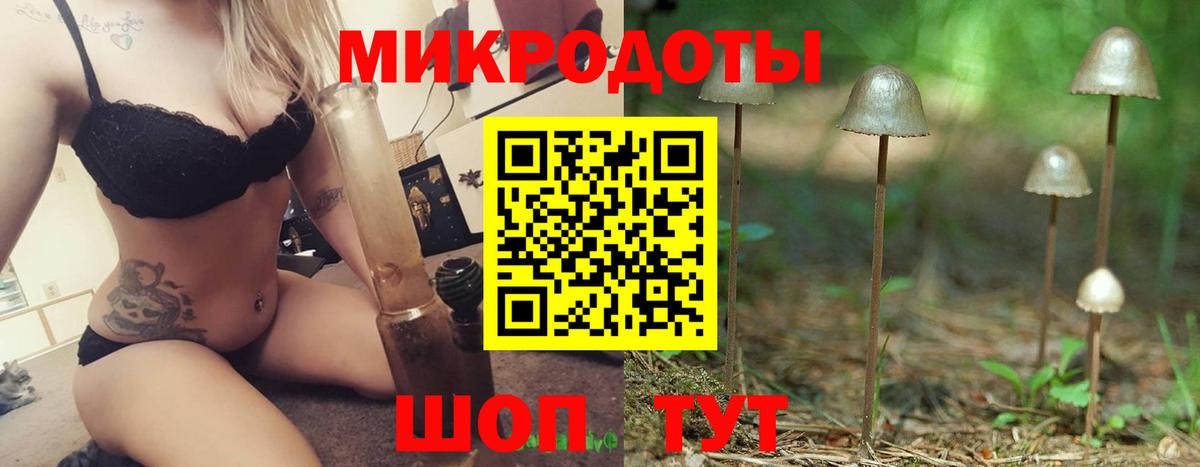 наркота  Галлюциногенные грибы Cubensis  Вход с VPN  Туапсе 